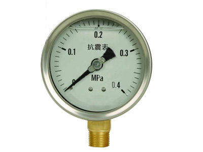 YN系列 耐震(抗震)压力表